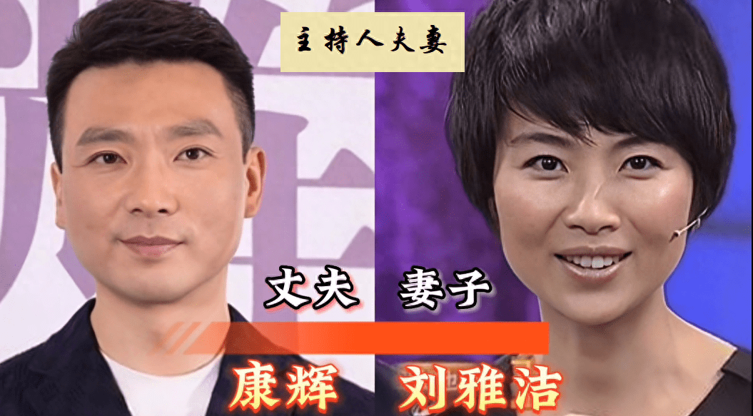 央视主持人夫妻对比,白岩松妻子年轻时容颜出众,每一对都很般配