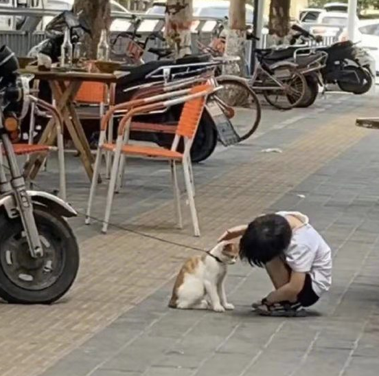 家中小猫送人后孩子第二天没回家,父亲出门看到一幕感动落泪 家中小猫送人后孩子第二天没回家,父亲出门看到一幕感动落泪