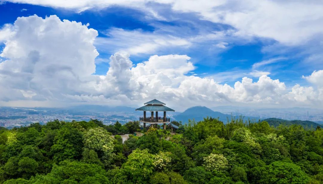 东莞这些特色登山线路整理好了!_清溪_景区_正门