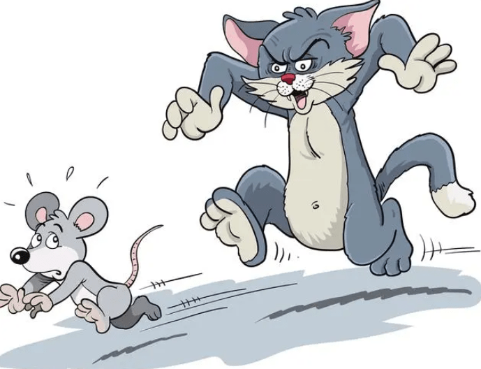 纽约老鼠泛滥成灾,网友:tom猫呢?_城市_数量_管理