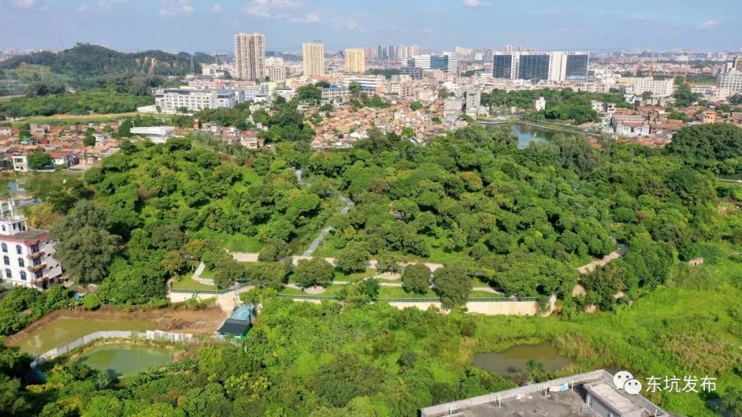 东坑再增一荔枝公园,快来赏绿吧!_市民_休闲_建设
