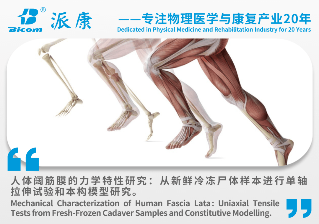 使用引导手术和一次性概念的3单元桥接种植修复| C-Tech Implant | 迷你牙種植體和牙種植體, image size:1080x759