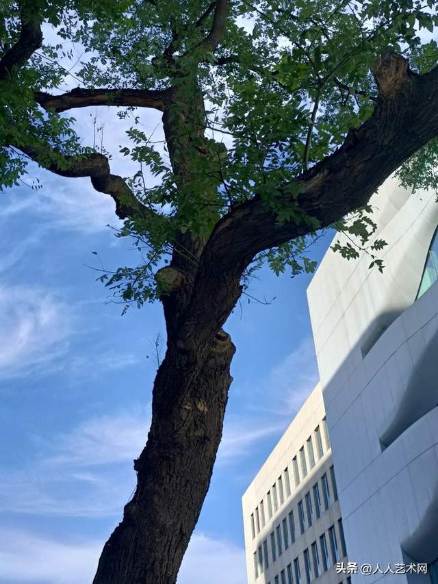 王博生手机摄影:西单长安街中山公园