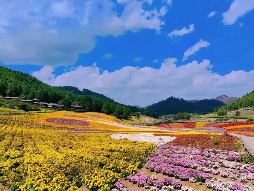 秋日漫游 邂逅黔东南的秋色与美好_肇兴_梯田_侗寨