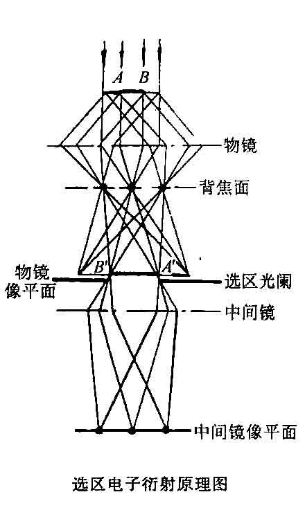 透射电子显微镜光路图图片