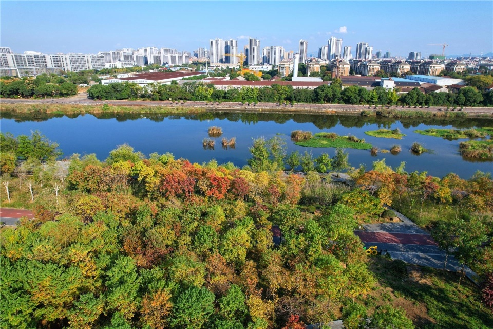 寻景婺城 白沙溪畔正演绎着秋日醉人景色_风景区_文化_秋色