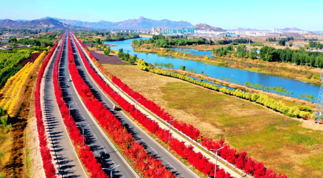 秦皇岛"枫林大道"火爆出圈,区域价值飙升,带火周边楼盘!