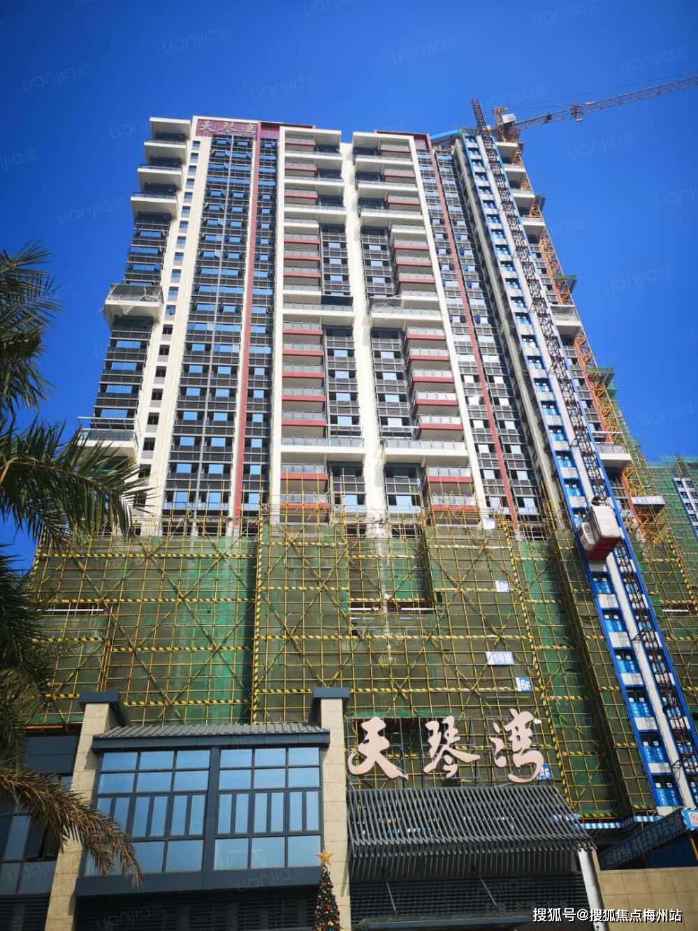 东莞天琴湾【欢迎您】24小时电话_售楼中心|详情_沙田镇_幼儿园_缀舷