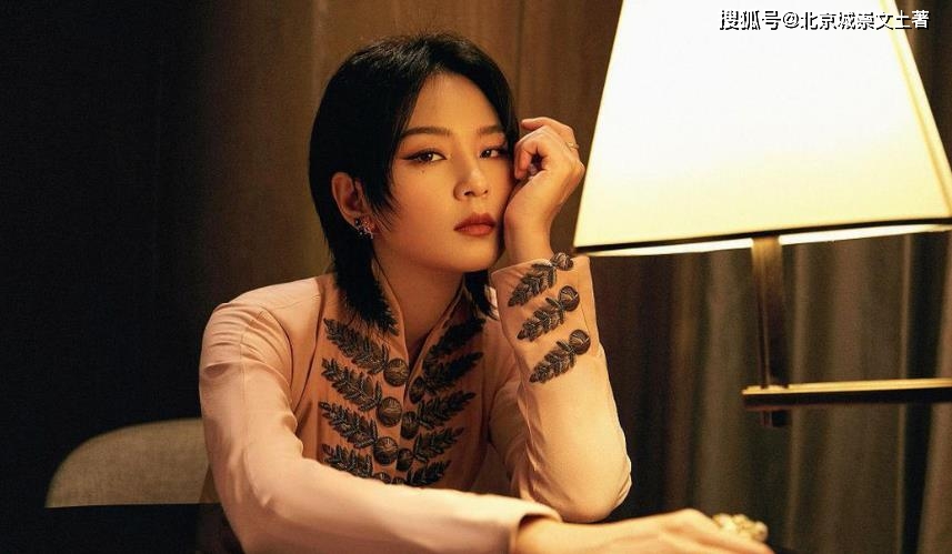 汉霄,檀健次,五月天,杨幂,王耀庆,张颜齐,以及实力派唱将韩红,周笔畅