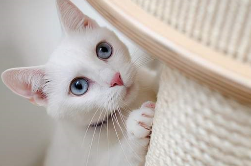 形象_异性_时候