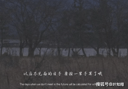 文案 | 特别现实的文案