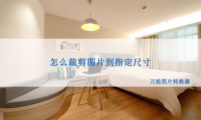 图片裁剪,怎么裁剪图片到指定的尺寸大小?_工具_操作_照片