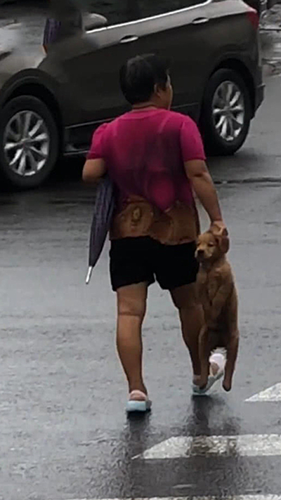 远看一位大妈在过马路，手里还拎着条狗，看清后：画面过于熟悉