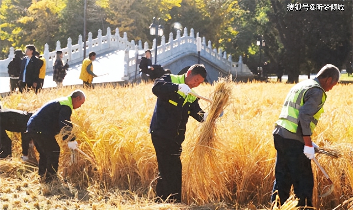 2024年比较特殊,无春年遇上闰年,3件事不宜做,俗语怎么说?