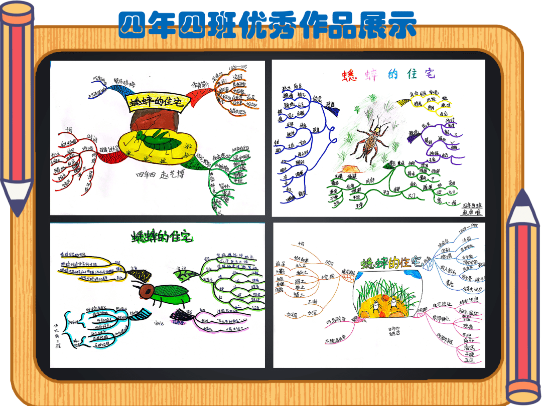 在教学《蟋蟀的住宅》时,四学年教师运用思维导图设计实践作业,收到了