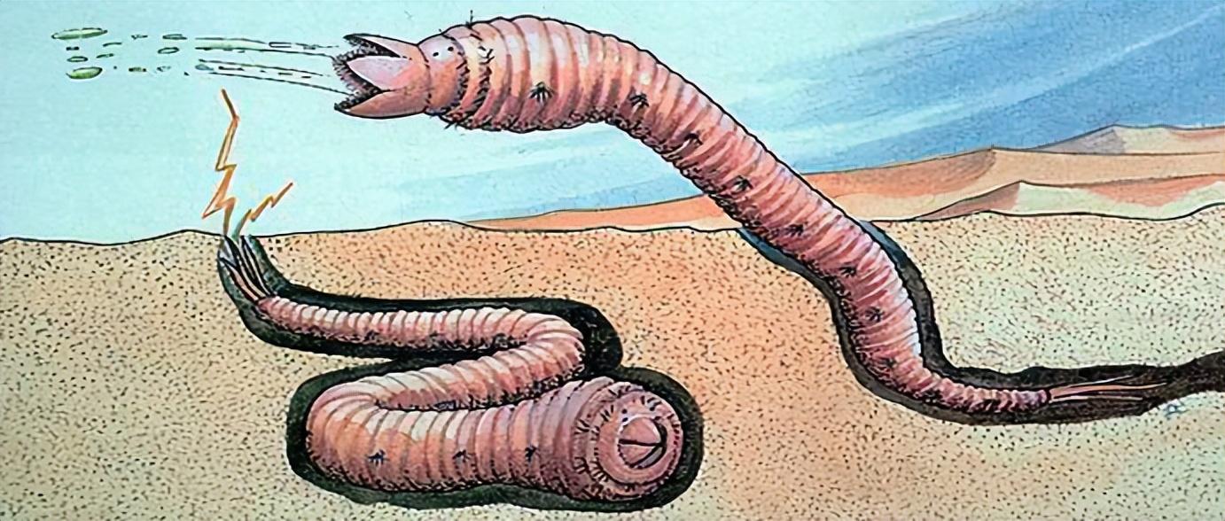 地球上最耐热的动物庞贝蠕虫:火山游泳池之谜解析_环境_生物_极端