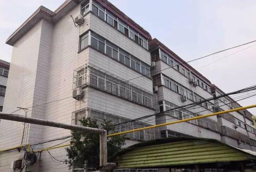 西安悍匪魏振海,曾靠钢钳越狱,临死前拒不认罪,还仰天狂笑_廖苇丽