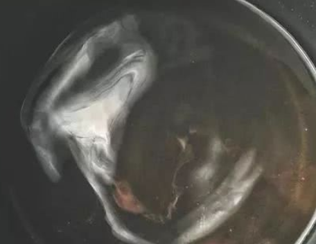 它不仅美味，而且热量还低，就算你正在减肥，也可以吃的有滋有味(图4)