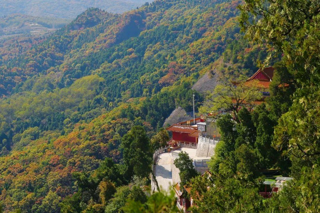 铜川香山红叶图片