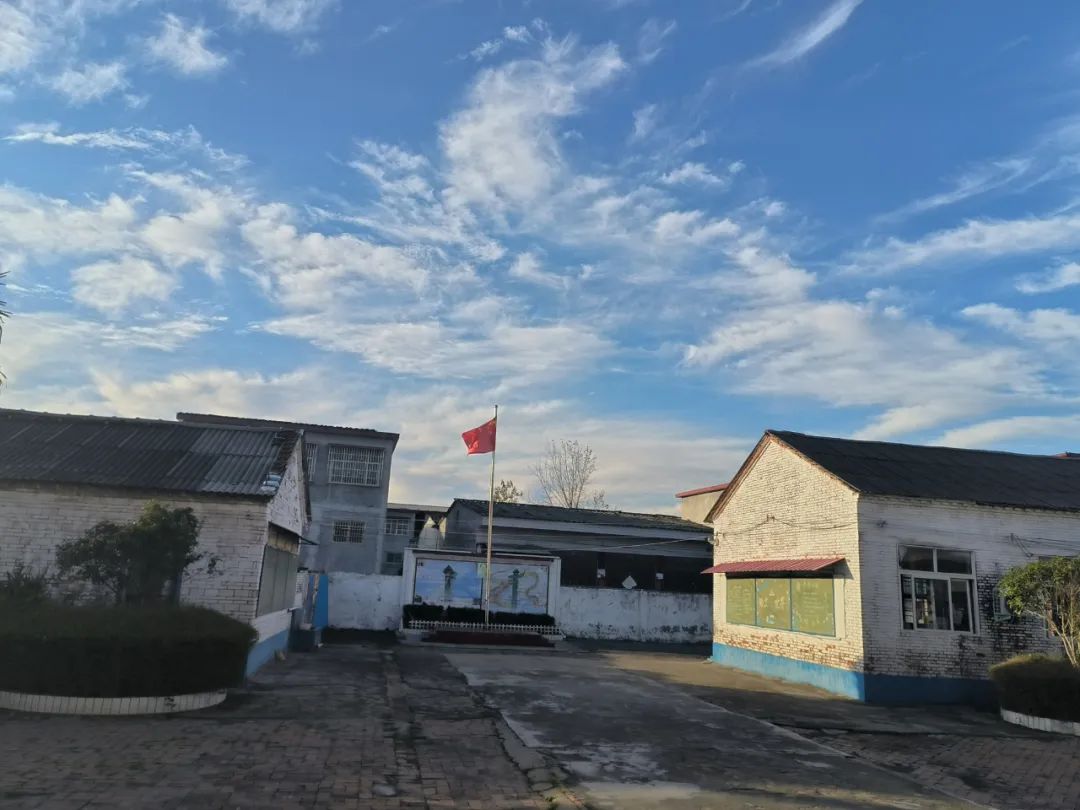 汝南县老君庙镇中心小学北校区:沐浴阳光,迎接新周_鸡冠花_校园_温莹