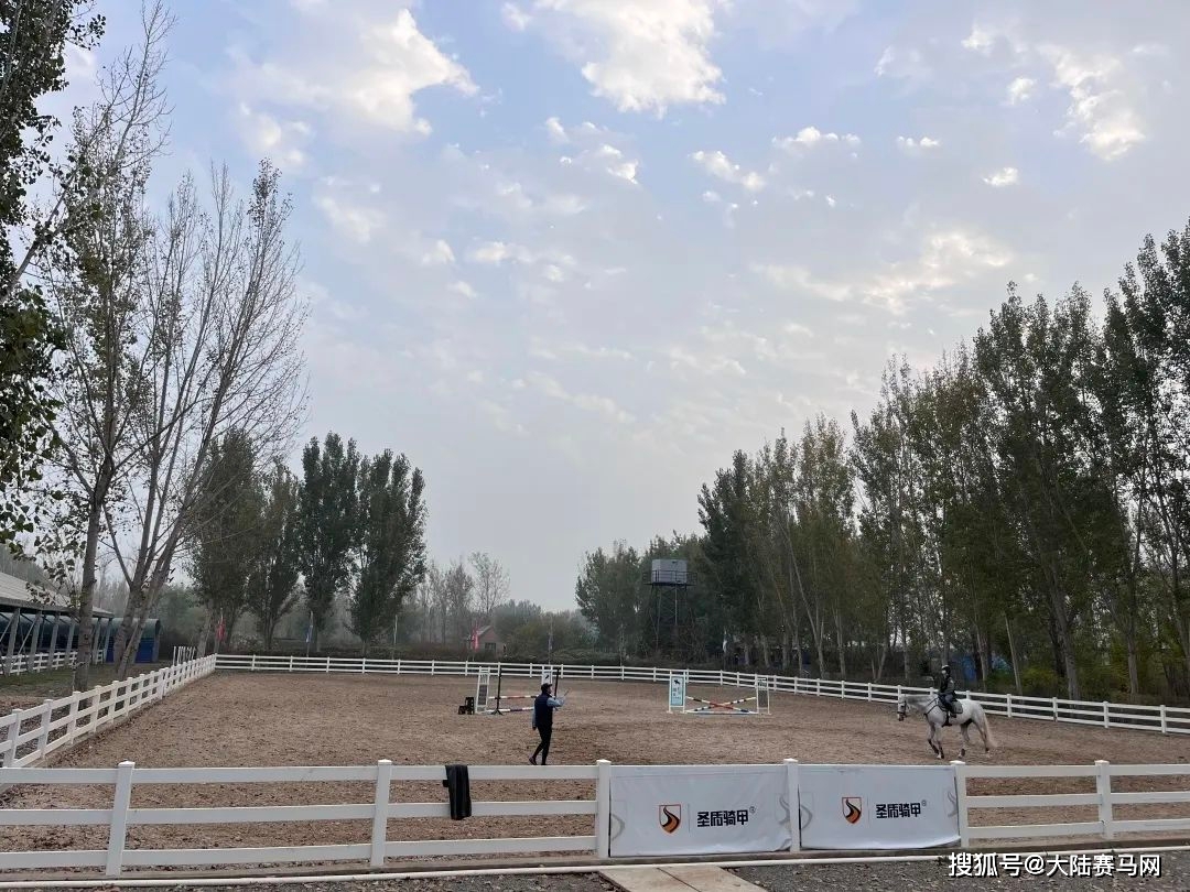 天津骐骥森林马术俱乐部星级马房对外租赁:面向职业及准职业骑手_训练