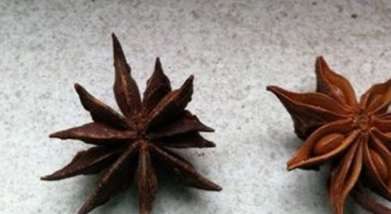 学会辨别"八角"的真假,真的很重要的,教你3招,轻松辨别_莽草_味道