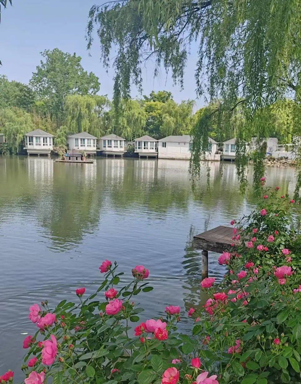 长宁区绿地金庭庄园#幸福里#中高端康养社区#_许愿桥_希腊_城堡