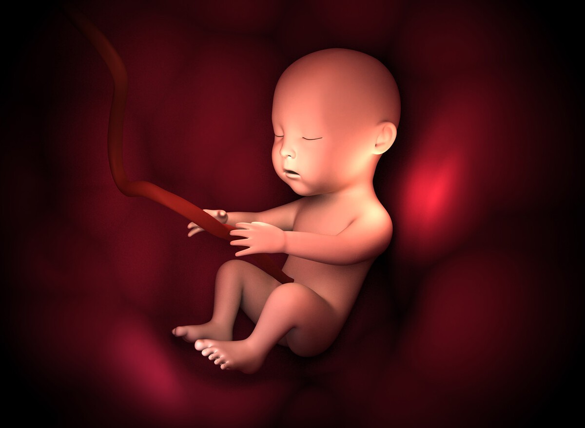 胎儿的大小取决于什么？准妈妈们赶紧围观