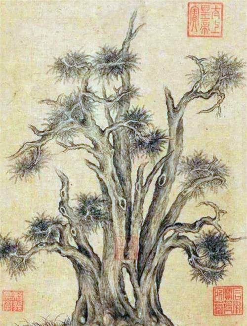 而乾隆皇帝在《嵩阳汉柏图》中所画的柏树是我国现存最古最大的柏树