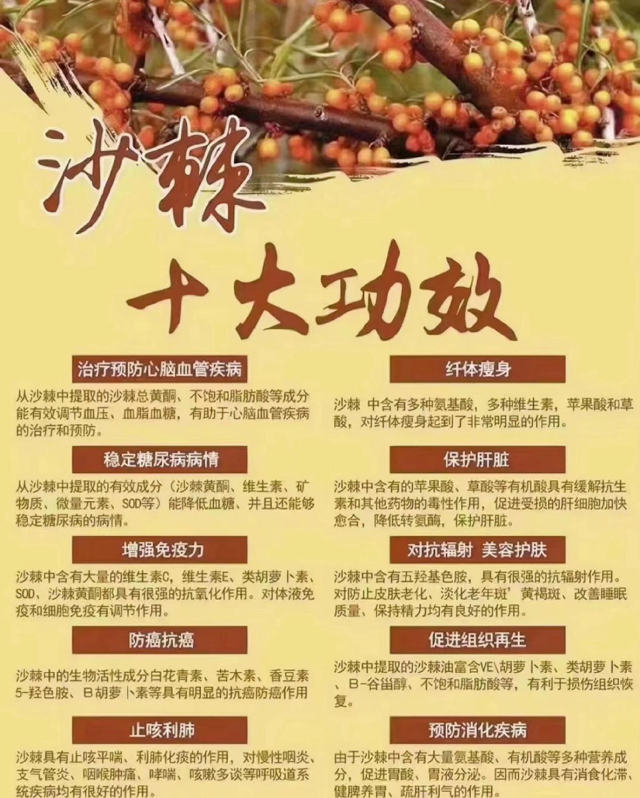 沙棘的十大功效图片