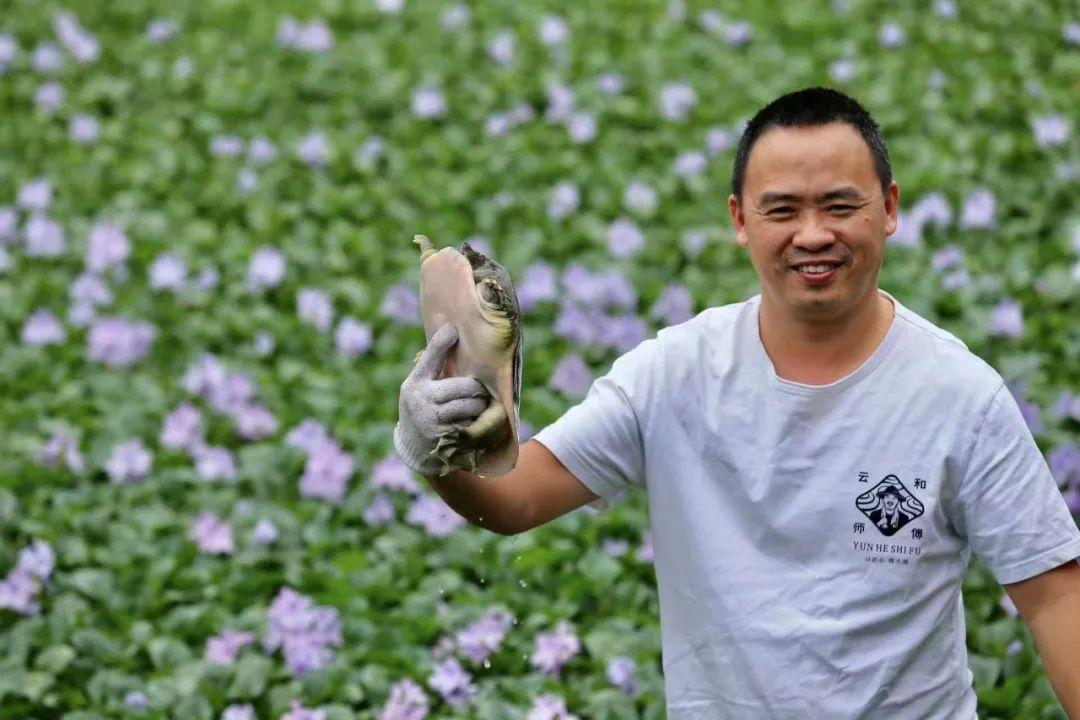 农业节目致富经养殖视频(农业致富经养殖大全 视频)