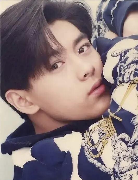 曾经红遍亚洲的小旋风林志颖,年轻时到底有多帅?_儿子_事业_生日