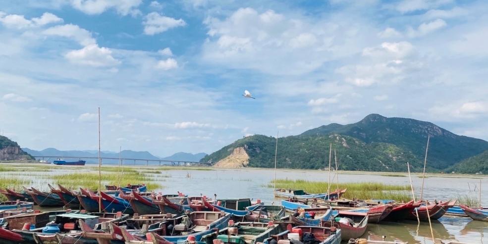 白沙岛村:温州乐清市的一颗璀璨明珠