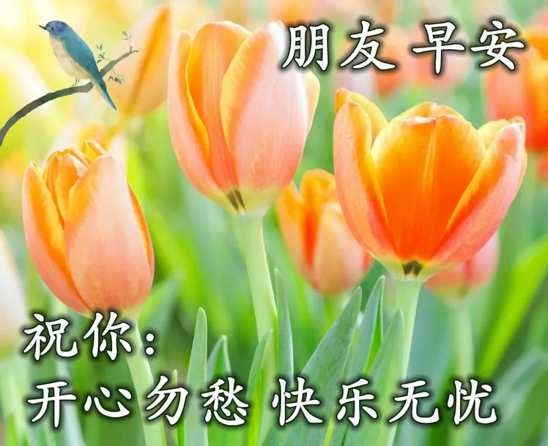 9张冬日最美风景早上好图片带字带祝福语 免打字聊天的冬日早安问候祝福语图片