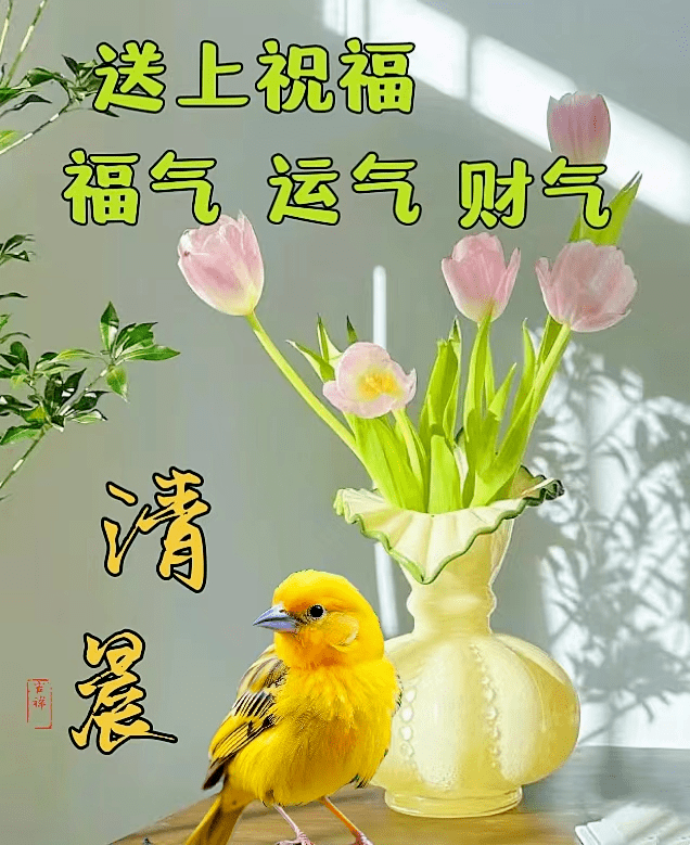 11月10日早上好图片图片