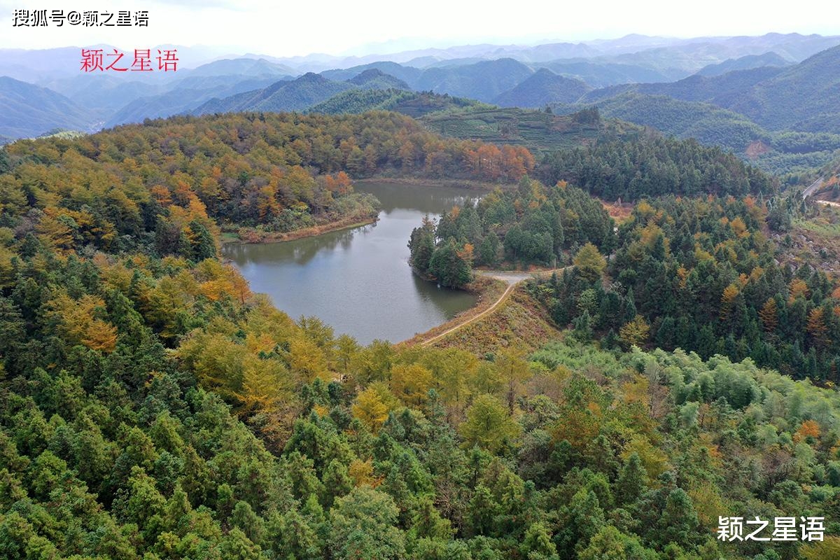 金錢松林綿延,天池相映,金色世外之境_寧波市_餘姚市_鹿亭鄉