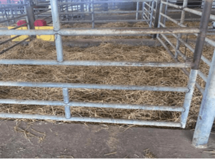 天气寒冷，奶牛易发生冷应激，牧场该如何安全越冬？