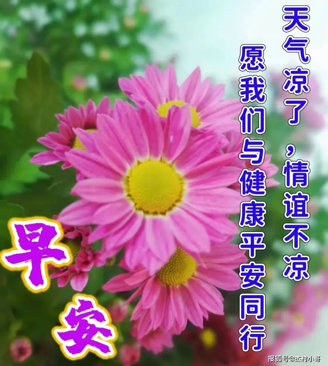 2023年11月15日早上好问候祝福动态表情图片大全_朋友_人生_生活