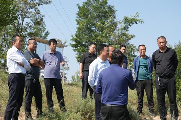 西安欧亚学院深入开展教育帮扶 带动子洲县产业振兴项目发展_湾村