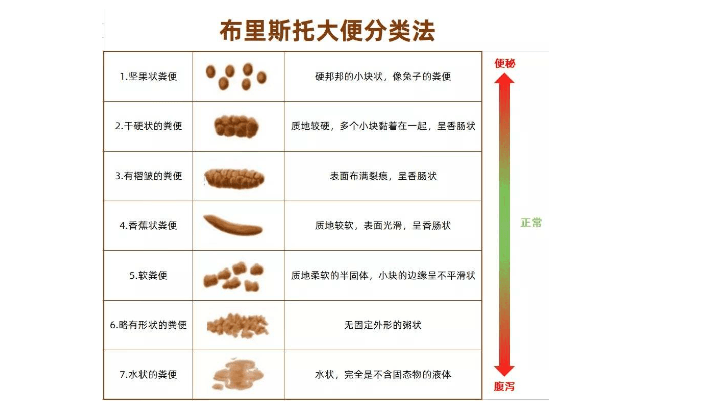 一分钟学会