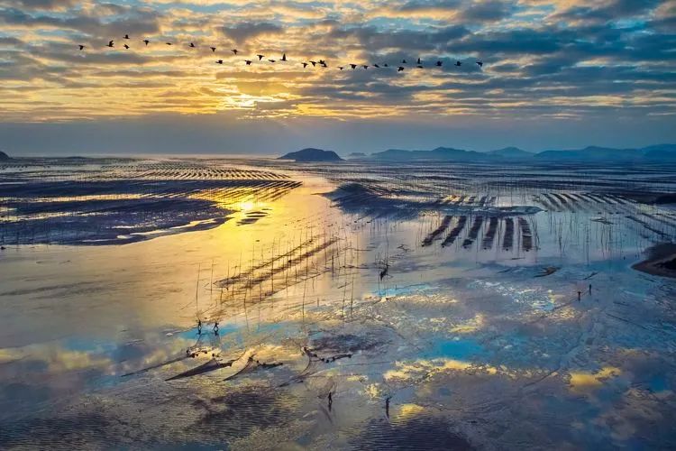 中国最美海岸线--霞浦北岐_滩涂_摄影_虎皮