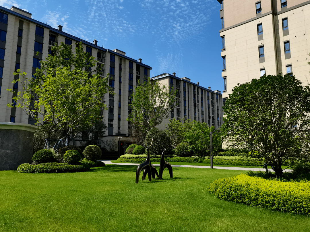 中海上东区:168玫瑰园学校落地3年净赚150万,真相揭秘!