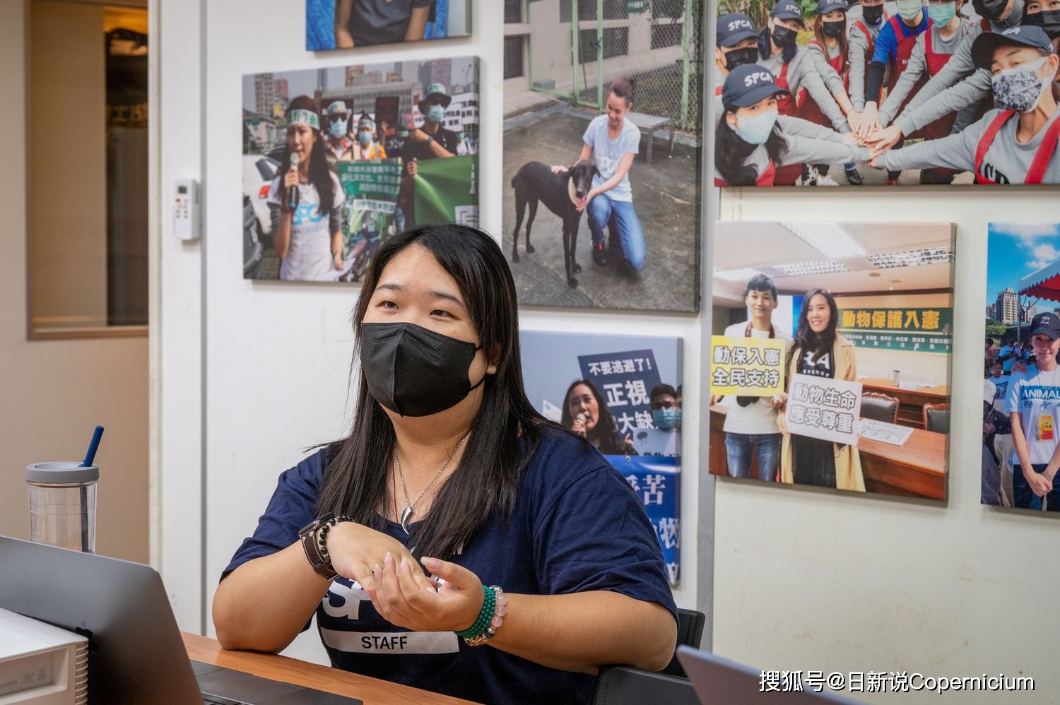 諮詢,女生已逃離家中,但與男友共同飼養的貓,其晶片登記在男方名下