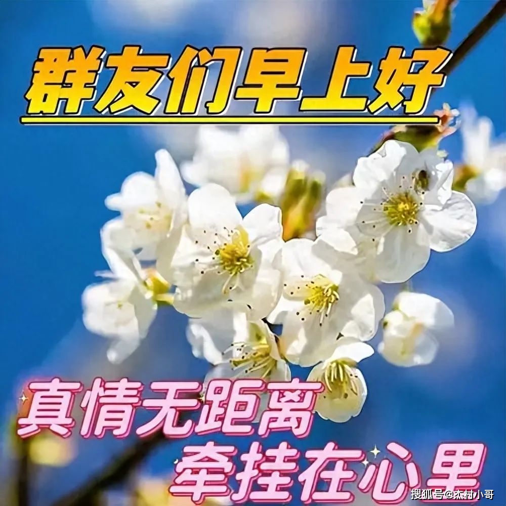 11月18日精选早上好图片,新的一天一声问候,愿朋友们健康快乐!