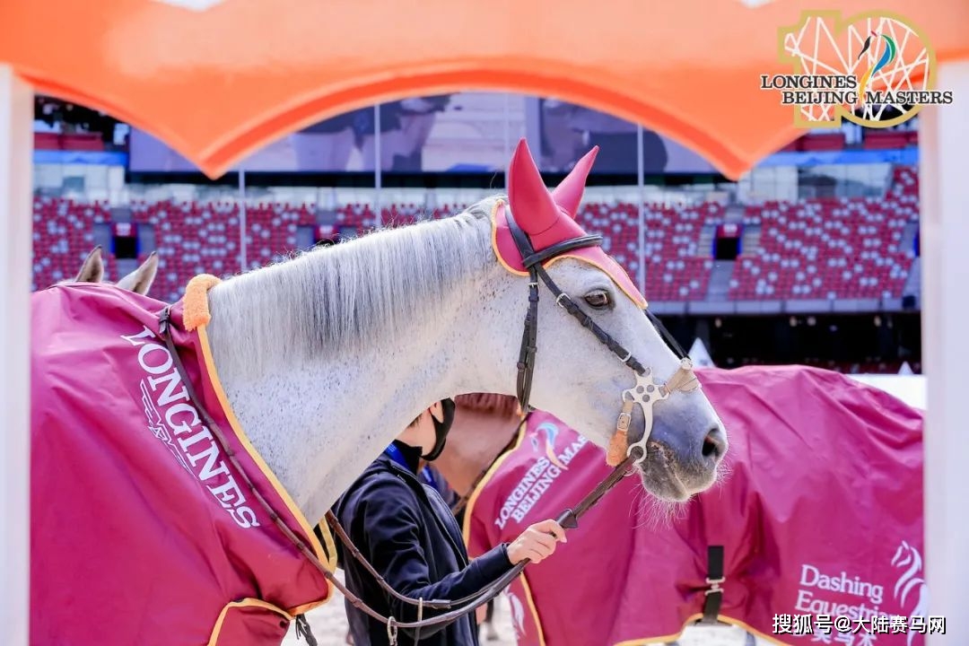 7 支战队"决战紫禁之巅",启蒙马术问鼎十年鸟巢大师赛全新赛事_拉图