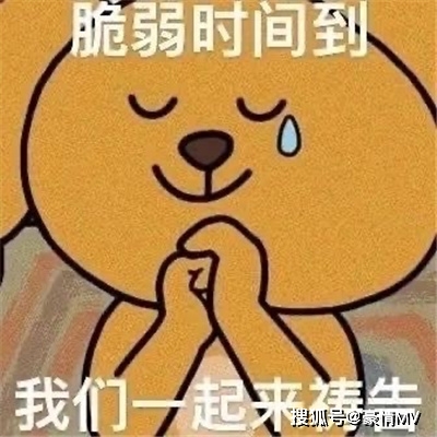 心态崩了时候用的表情图_心态崩了的万能表情
