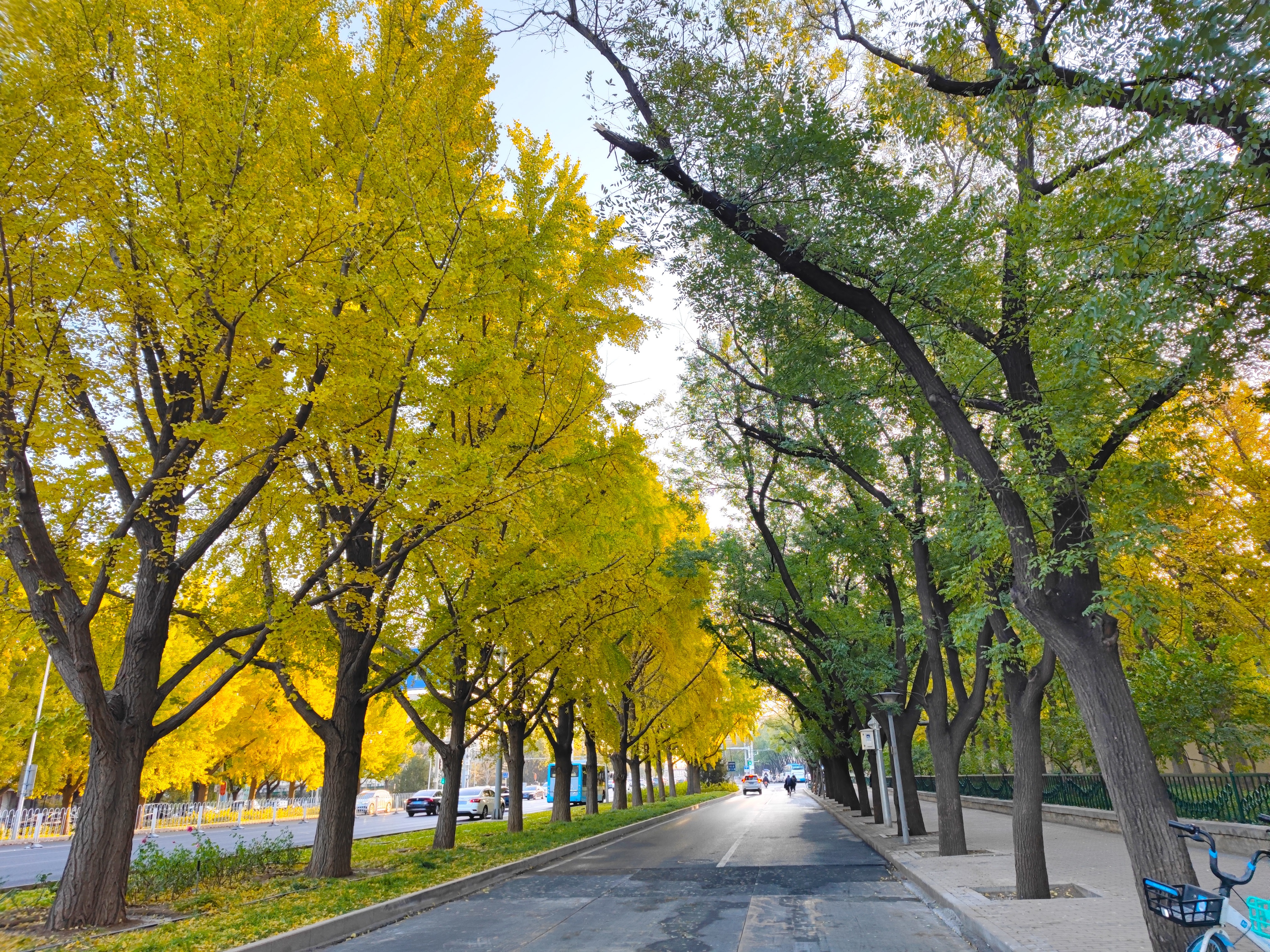 北京限定双色街道