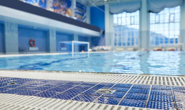 显示标准游泳池的长度,宽度和尺寸_比赛_什么_观众