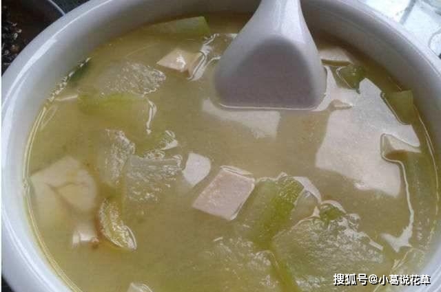 豆腐和此物一起燉,美味鮮香,排出毒素,補鈣質,早食早受益_冬瓜_減肥