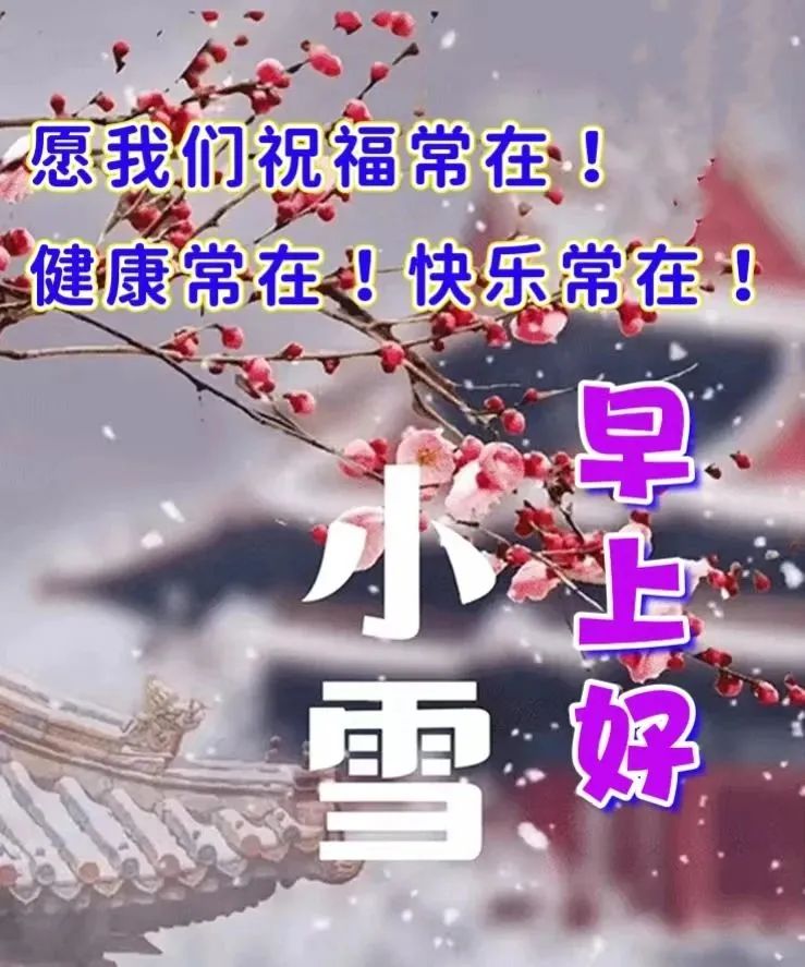 小雪节气早安问候图片图片